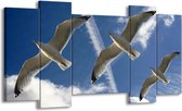 GroepArt - Schilderij - Vogels - Blauw, Zwart - 120x65 5Luik - Foto Op Canvas - GroepArt 6000+ Schilderijen 0p Canvas Art Collectie - Wanddecoratie