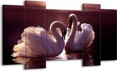 GroepArt - Schilderij - Vogels - Wit, Bruin, Zwart - 120x65 5Luik - Foto Op Canvas - GroepArt 6000+ Schilderijen 0p Canvas Art Collectie - Wanddecoratie
