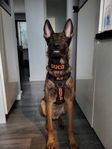 Halsband Gepersonaliseerd eigen naam - Chica - Honden halsband Geborduurd - Tactical - Zwart - Hals 45-75 CM - geschikt voor iedere hondenriem - voor middel en grote honden - Best getest 2022 - 450KG Anti trek test - One Size