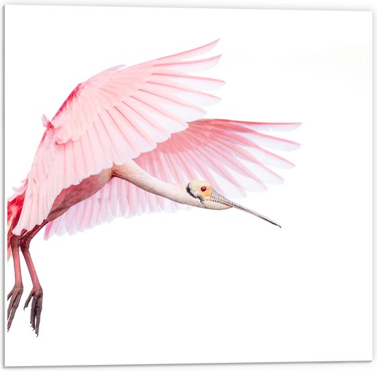 PVC Schuimplaat - Vliegende Flamingo in de Bewolkte Lucht - 50x50 cm Foto op PVC Schuimplaat (Met Ophangsysteem)