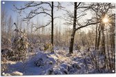 Tuinposter – Landschap - Winter - Bomen - Planten - Sneeuw - Zon - 105x70 cm Foto op Tuinposter (wanddecoratie voor buiten en binnen)