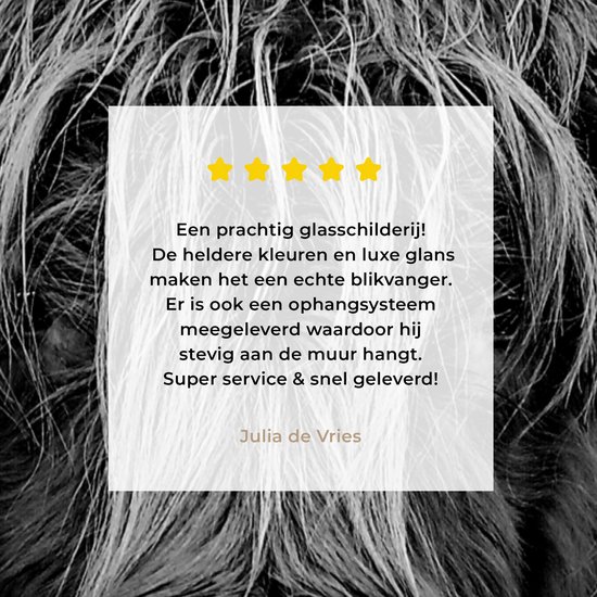 MuchoWow® Peinture sur verre 60x90 cm - Peinture sur verre acrylique - Highlander écossais - Lumière - Portrait - Nature - Photo sur verre - Peintures