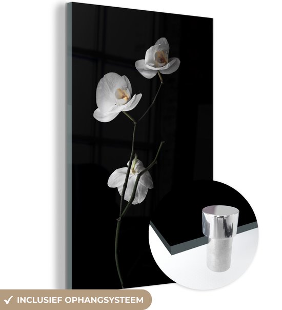 MuchoWow® Glasschilderij 20x30 cm - Schilderij acrylglas - Orchidee - Bloemen - Zwart - Wit - Stilleven - Foto op glas - Schilderijen