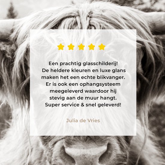 MuchoWow® Peinture sur Verre - Highlander écossais - Vache - Animaux - Zwart - Wit - 90x60 cm - Peintures sur Verre Acrylique - Photo sur Glas