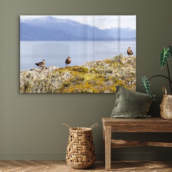 Vogels dans le parc national de la Terre de Feu avec des montagnes enneigées en arrière-plan Plexiglas 120x80 cm - Tirage photo sur Glas (décoration murale en plexiglas)