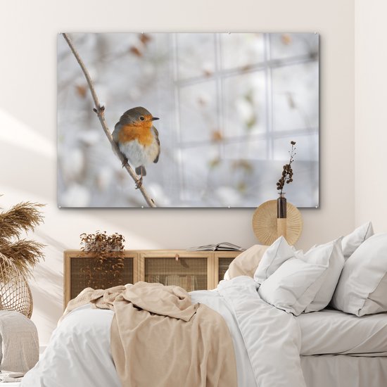 Robin sur une fine branche en hiver Plexiglas 180x120 cm - Tirage photo sur Glas (décoration murale plexiglas) XXL / Groot format!