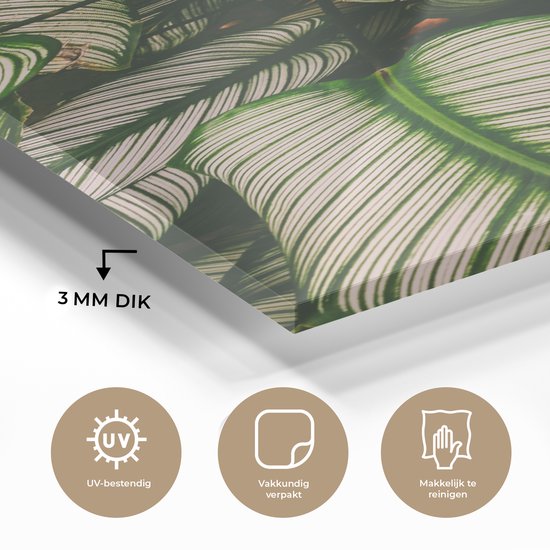 MuchoWow® Peinture sur verre 20x40 cm - Peinture acrylique sur verre - Feuilles - Plante - Vert - Photo sur verre - Peintures