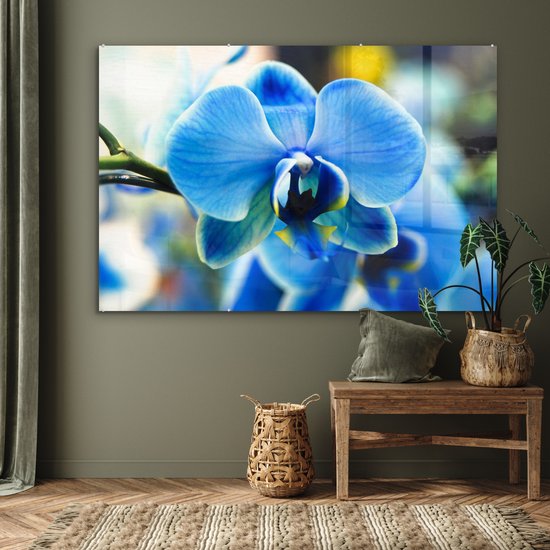 Peinture sur verre - Gros plan d'une orchidée bleue avec un arrière-plan flou - 180x120 cm - Peintures sur Verre Peintures - Photo sur Glas