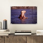 MuchoWow® Glasschilderij 30x20 cm - Schilderij acrylglas - Nijlpaard - Water - Bek - Foto op glas - Schilderijen