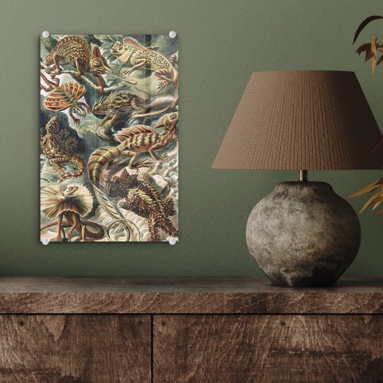 MuchoWow® Peinture sur verre 20x30 cm - Peinture acrylique sur verre - Vintage - Art - Ernst Haeckel - Salamandres - Animaux - Photo sur verre - Peintures