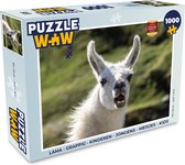 Puzzel Lama - Grappig - Kinderen - Jongens - Meisjes - Kids - Legpuzzel - Puzzel 1000 stukjes volwassenen