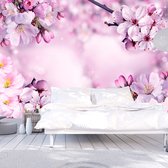 Fotobehangkoning - Behang - Vliesbehang - Fotobehang Lentebloemen - Bloemen - Say Hello to Spring - 250 x 175 cm