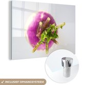 MuchoWow® Glasschilderij 30x20 cm - Schilderij acrylglas - Een kleurrijke knolraap met een lichtgrijze achtergrond - Foto op glas - Schilderijen