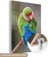 Glas Waxing Lovebird 60x90 cm - Tirage photo sur Glas (décoration murale plexiglas)