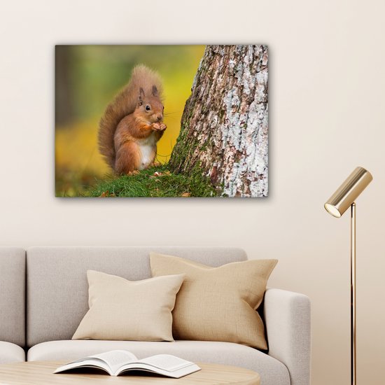 Tableau sur toile Écureuil roux à côté de l'arbre - 80x60 cm - Décoration murale