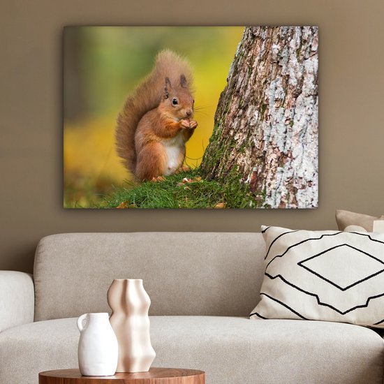 Tableau sur toile Écureuil roux à côté de l'arbre - 80x60 cm - Décoration murale