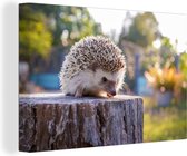 Tableau sur toile Hérisson assis sur un tronc d'arbre - 150x100 cm - Décoration murale