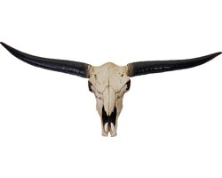 Cosmo Casa - Wanddecoratie - Longhorn schedel