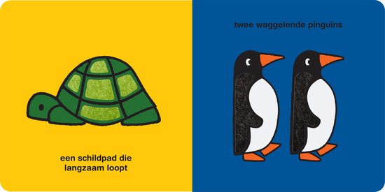 Een groene schildpad op een geel vlak en twee zwarte en witte pinguïns op een blauw vlak.