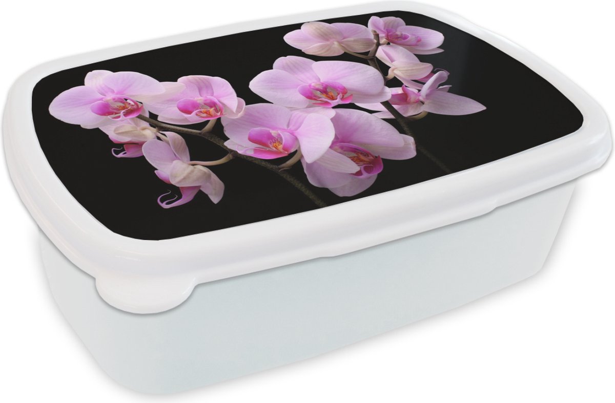 Broodtrommel Wit - Lunchbox - Brooddoos - Orchidee - Bloemen - Roze - Flora - 18x12x6 cm - Volwassenen