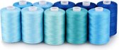 Naaigaren 40 Kleuren 1000 Yards Per Spoel 40S/2 Polyester 15 Kleur Sets Opties voor Naaimachine, Borduurmachine, Hand Naaien (10 Blauwe Kleuren)