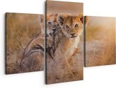 Artaza Canvas Schilderij Drieluik Twee Leeuwen Welpen in het Wild - 150x120 - Groot - Foto Op Canvas - Canvas Print