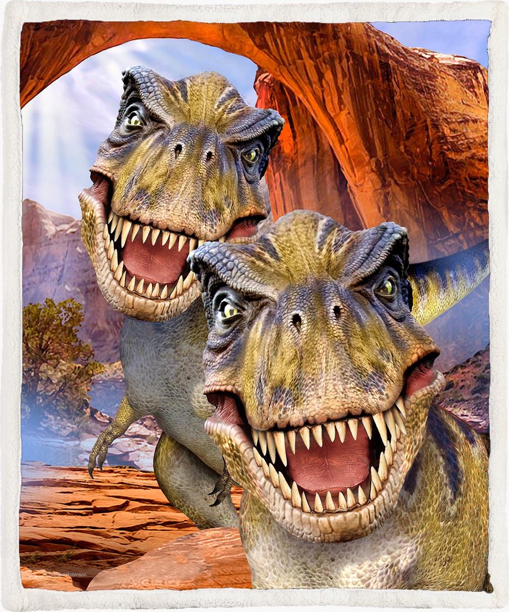 The Coloured House Dinosaurus Fleece Deken 130*150cm T-Rex Selfie Multicolor