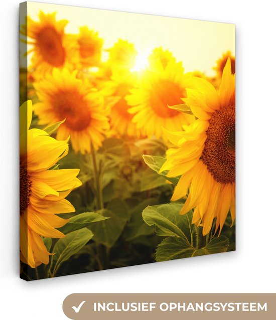 Canvas - Canvasdoek - Schilderij zonnebloem - Zonnebloem - Bloemen - Zonlicht - Muurdecoratie - Canvas schilderijen - 90x90 cm
