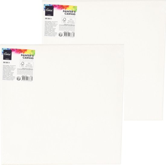 Twee witte schildersdoeken van 30x30 cm, verpakt, met 'Artist Painter's Canvas' logo.