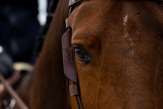 Trust Blinkers Black - Full | Zwart | Hoofdstel accessoires paard Trust Blinkers Black - Full | Zwart | Hoofdstel accessoires paard