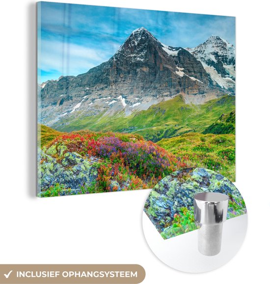 MuchoWow® Glasschilderij 80x60 cm - Schilderij acrylglas - Bloemen - Berg - Sneeuw - Landschap - Foto op glas - Schilderijen