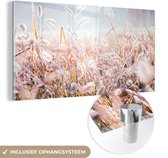 MuchoWow® Glasschilderij 80x40 cm - Schilderij acrylglas - Gras - Zon - Winter - Sneeuw - Foto op glas - Schilderijen