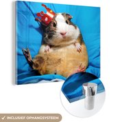 MuchoWow® Peinture sur verre - Cochon d'Inde - Drôle - Kroon - Enfants - Garçons - Filles - Enfant - 80x60 cm - Peintures sur verre acrylique - Photo sur Glas