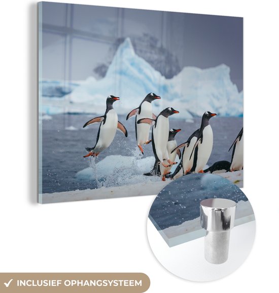 Glasschilderij - Pinguïns springen uit het water - Acrylaat Schilderijen - Foto op Glas