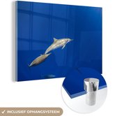 MuchoWow® Glasschilderij 60x40 cm - Schilderij acrylglas - Dolfijn - Dier - Zee - Foto op glas - Schilderijen