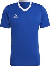 adidas Performance Entrada 22 Voetbalshirt - Heren - Blauw- M