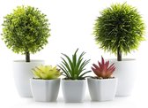 5 Stuks Kunstplanten in Pot Kunstplanten in Mini Pot met Witte Plastic Pot, 3 Kunstmatige Vetplanten & 2 Nep Groene Planten.