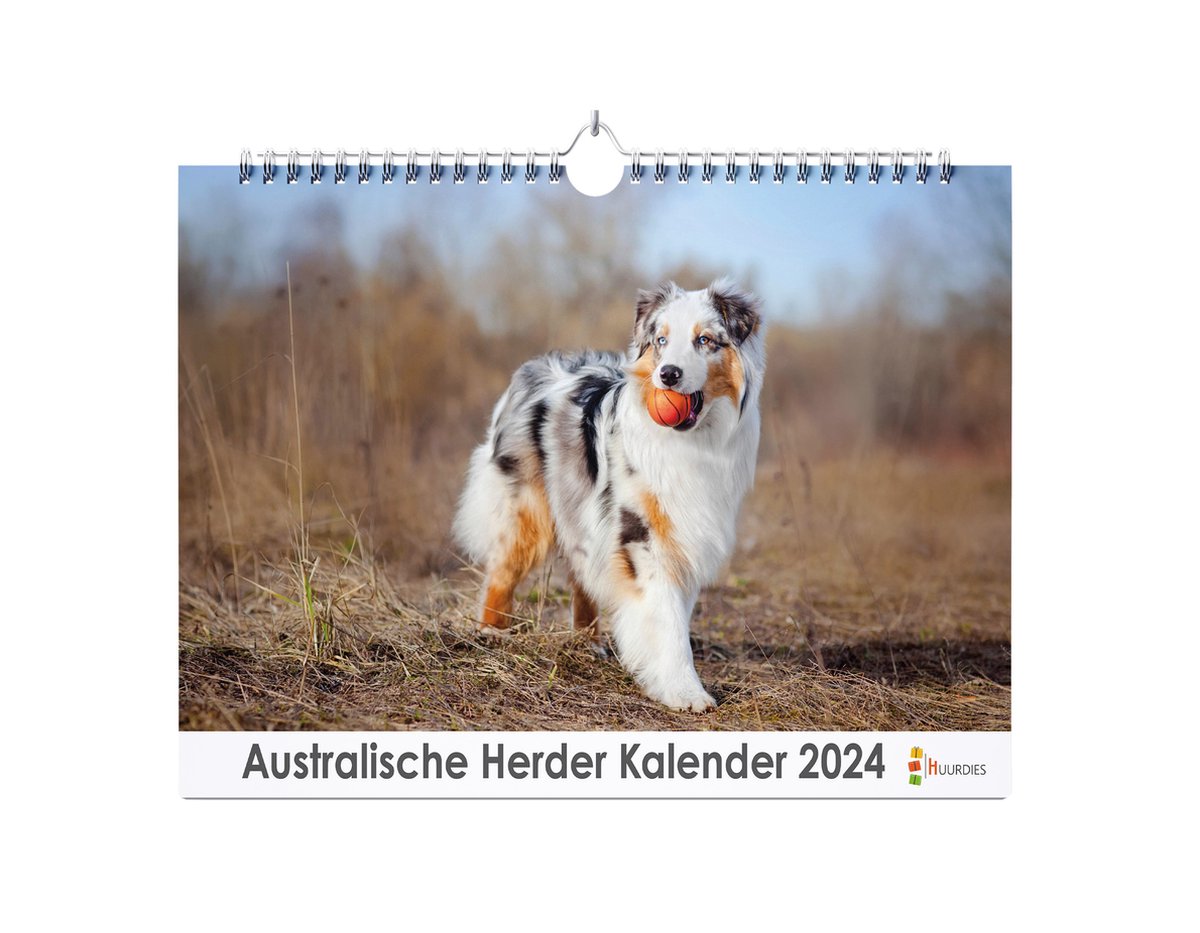 XL 2024 Kalender - Jaarkalender - Australische Herder