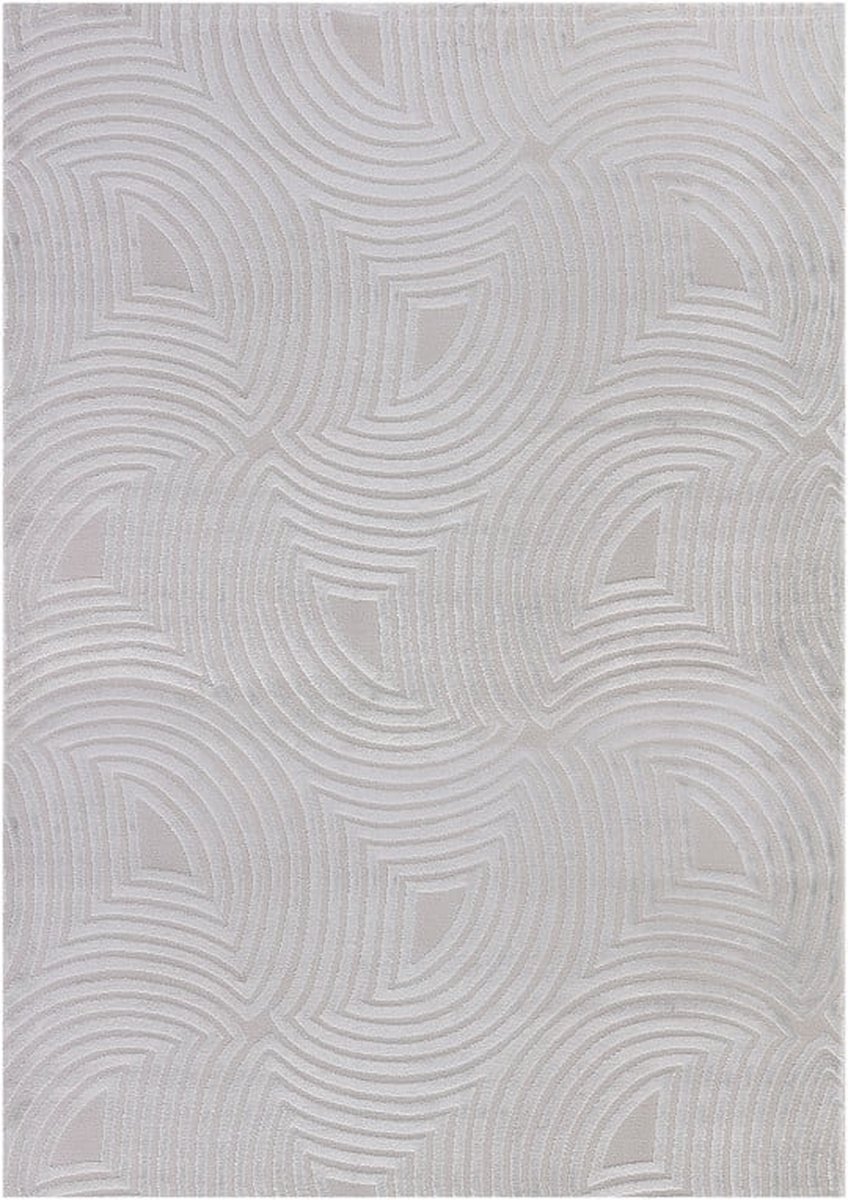 flycarpets Cara Modern Japandi Duna Vloerkleed - Zilver - 120x170 cm