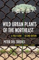 Wild Urban Plants of the Northeast A Field Guide