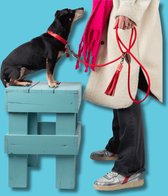 DWAM Dog with a Mission Hondenriem – Riem voor honden – Rood – Polyester/Leer – S – 155 x 1 cm – Red Velvet