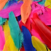 Knutsel pluimen gekleurd 1000 stuks - Decoratieveren - Hobbyveren - Creatieve veren - Versierveren - Knutselspullen