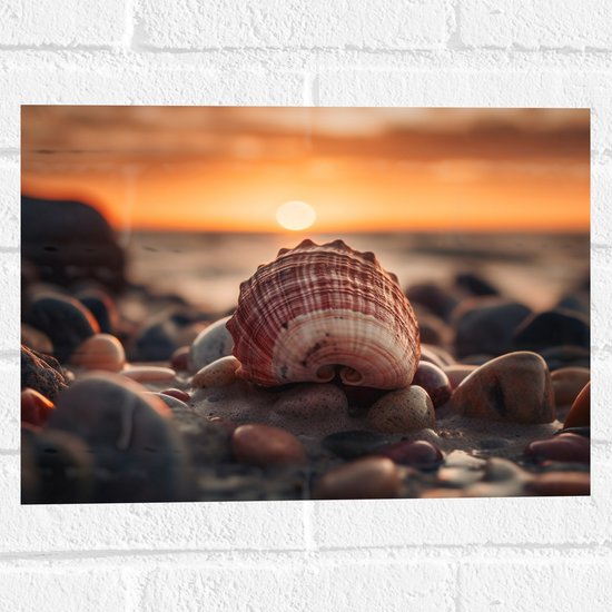 Muursticker - Schelp - Zee - Stenen - Zonsondergang - 40x30 cm Foto op Muursticker