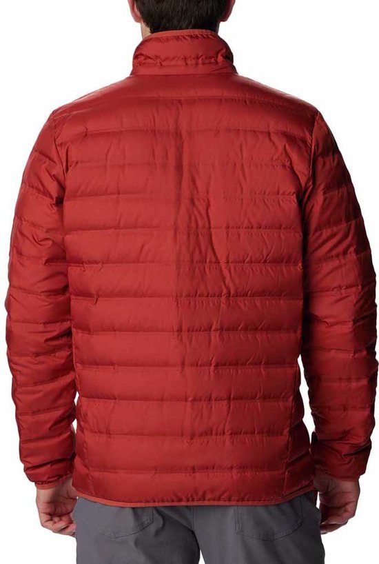 COLUMBIA POWDER LITE II HOODED JACKET ZING / SHARK - Wandel donsjack