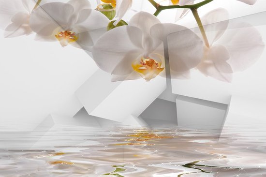Fotobehang - Witte 3D Figuren - Bloemen - Planten - Wit - Geometrisch - Inclusief Behanglijm - 450x300cm (lxb)