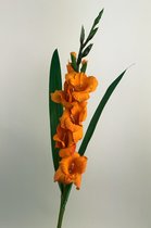 Zijden kunstbloem Gladiool | Oranje | Lengte 83 centimeter