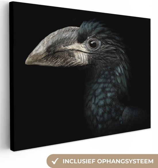 Canvas - Neushoornvogel - Dier - Snavel - Zwart-wit - Natuur - Vogel - Canvas schilderij - 120x90 cm - Canvasdoek - Kamer decoratie