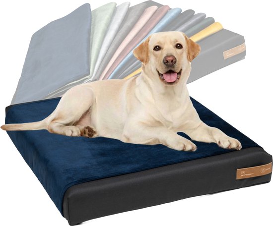 UNITED COLORS OF BENETTON. Pets Dog Bed, Grey, Size 50 x 40 x 18 cm, Polyester, Dog Cushion for Small Dogs, Machine Washable