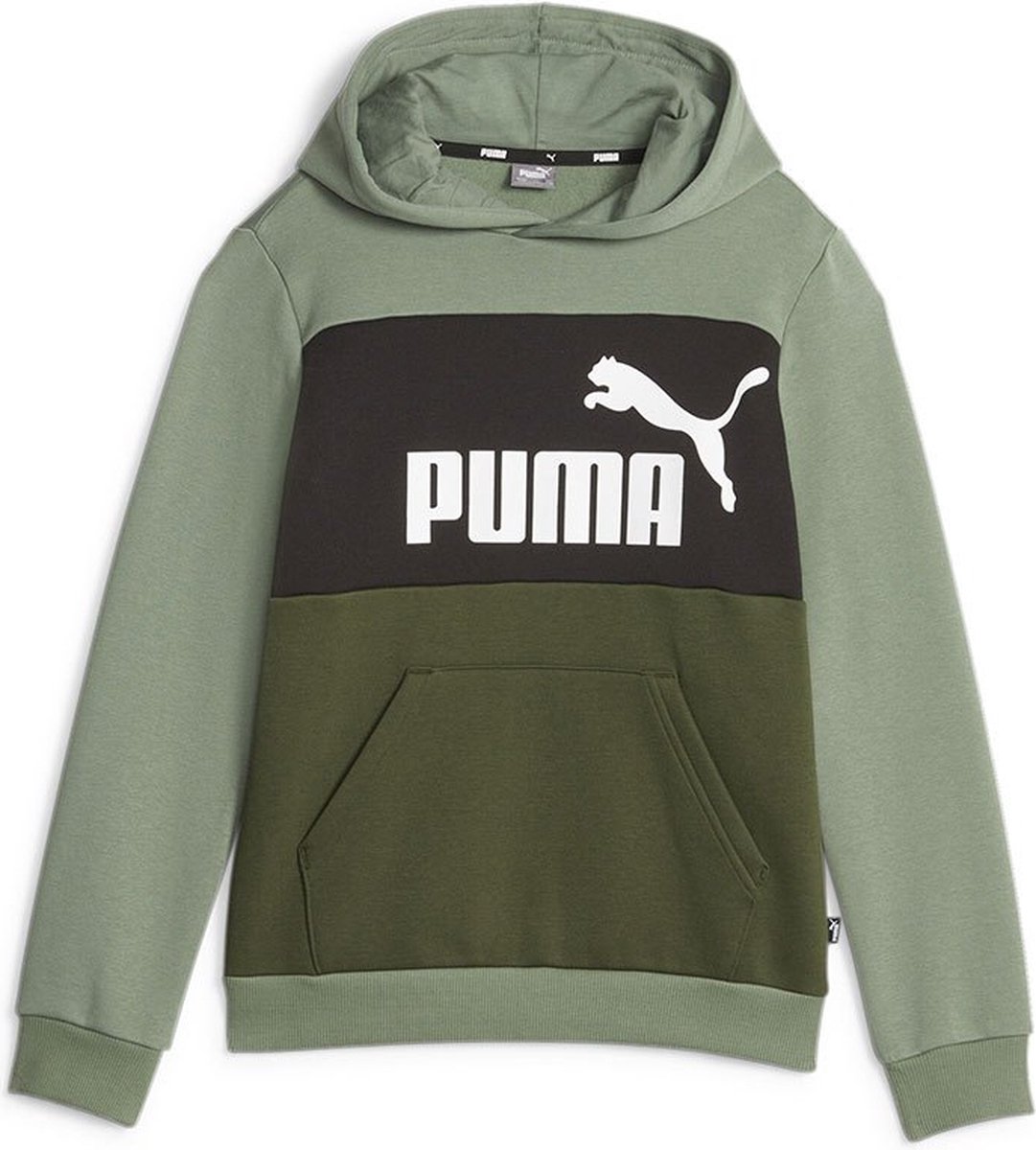 Puma Ess Block Fl Hoodie 4-5 Years Jongen Eucalyptus