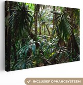Canvas Schilderij Planten in regenwoud - 120x80 cm - Wanddecoratie